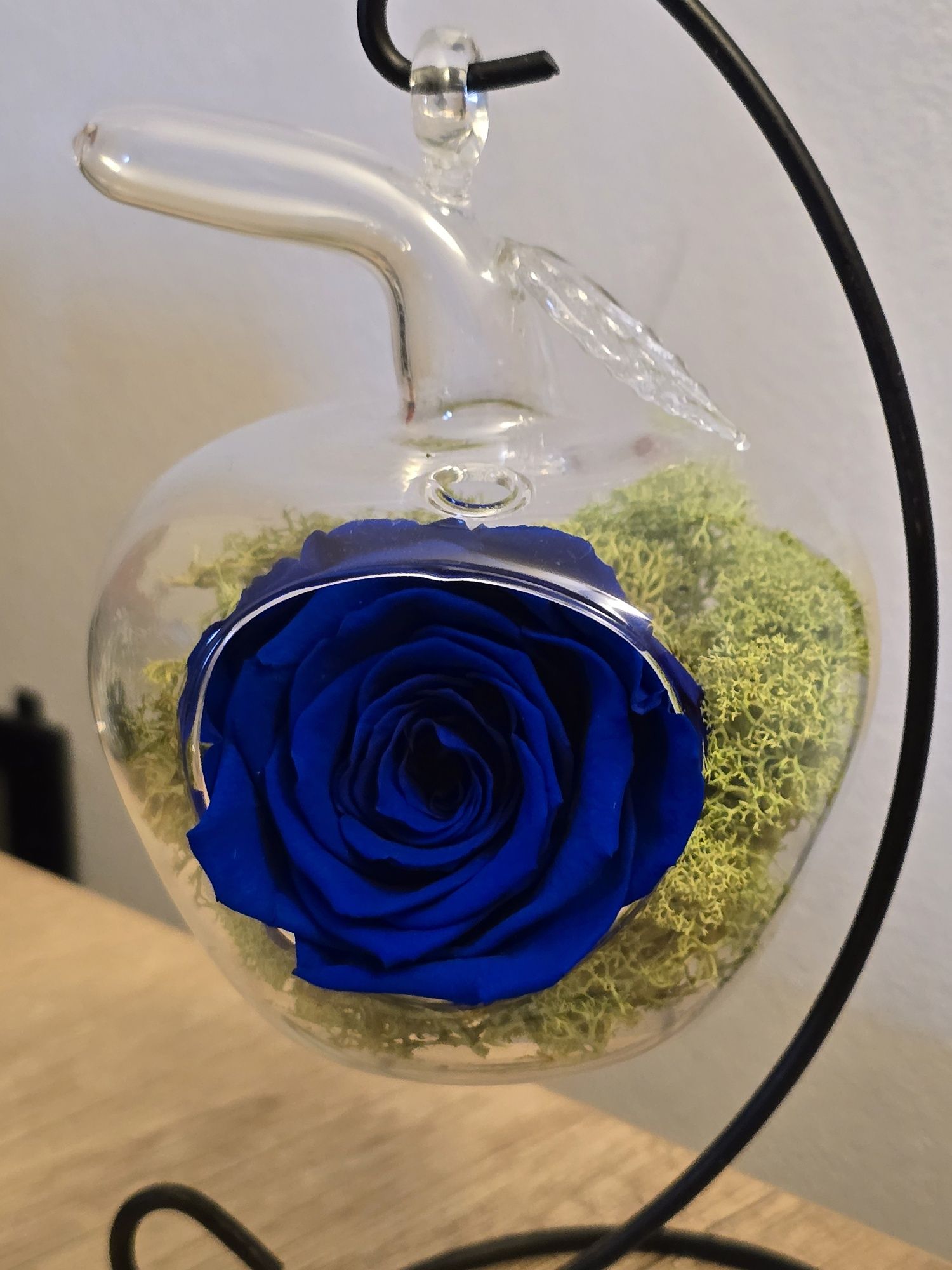 Trandafir criogenat albastru royal 
In terariu in forma de măr  cu