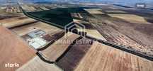 Teren investitie 150.000 mp Baneasa,Giurgiu- AGRICOL / FOTOVOLTAICE