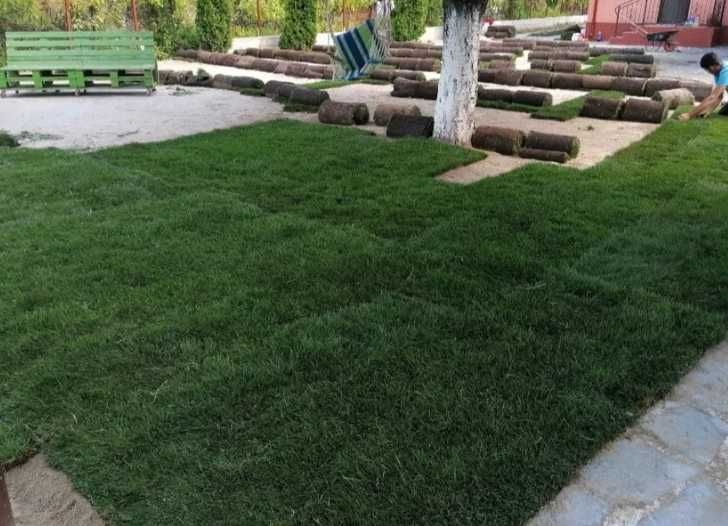 Gazon Rulou Calitate extra