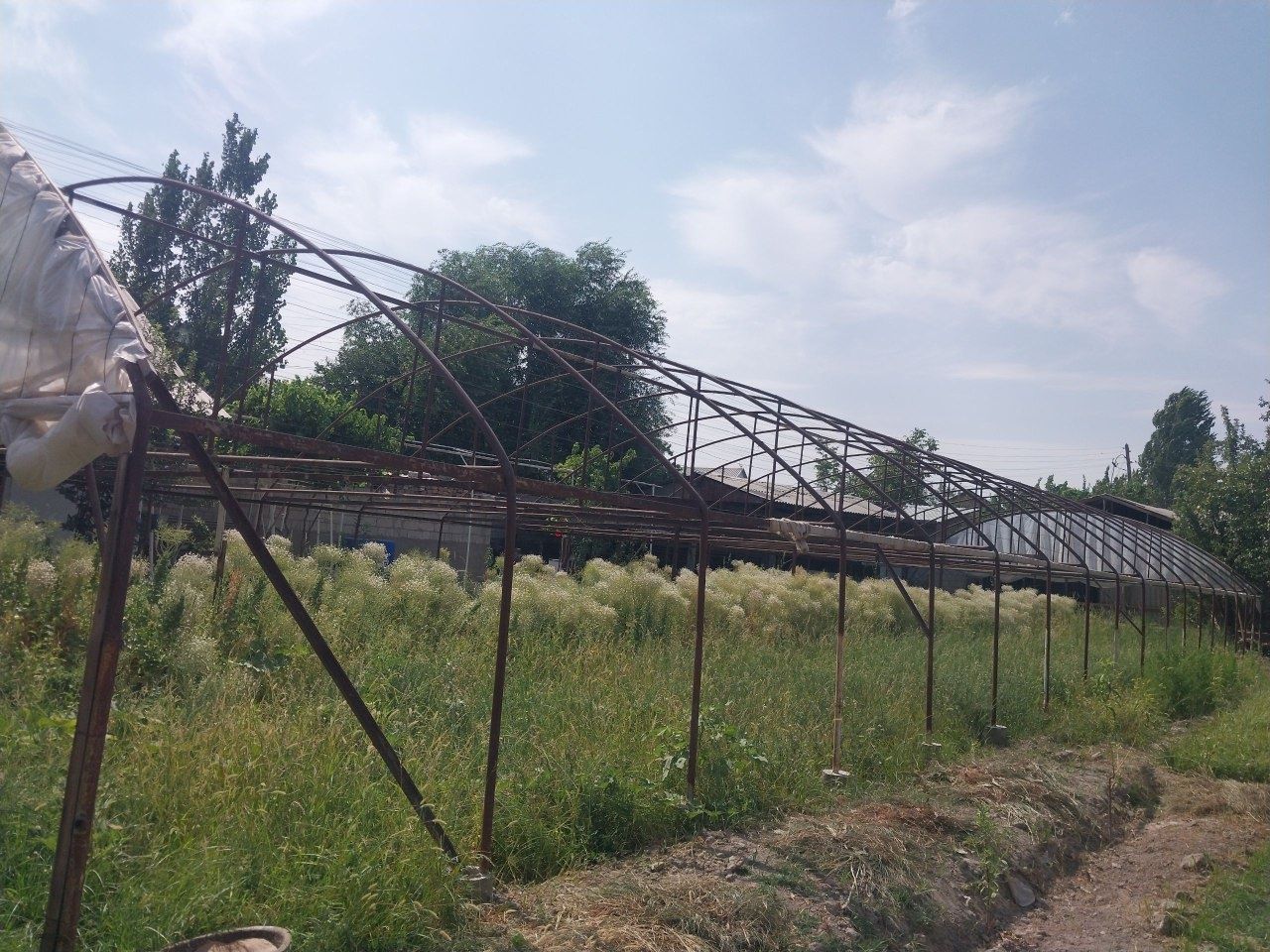 Tayyor parnik sotiladi