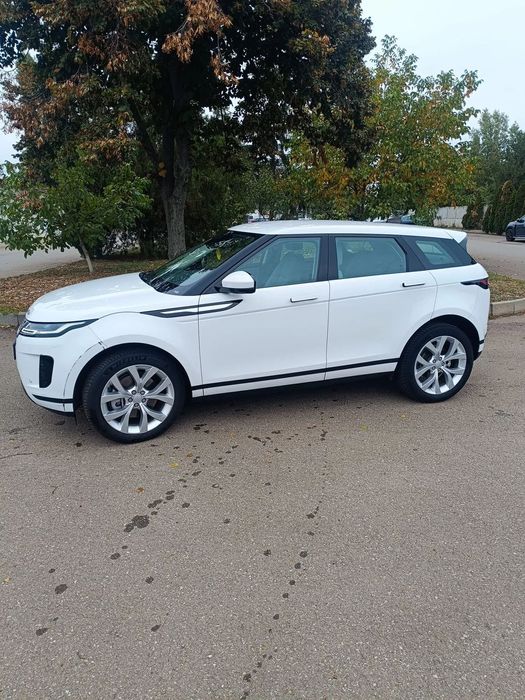 Rover