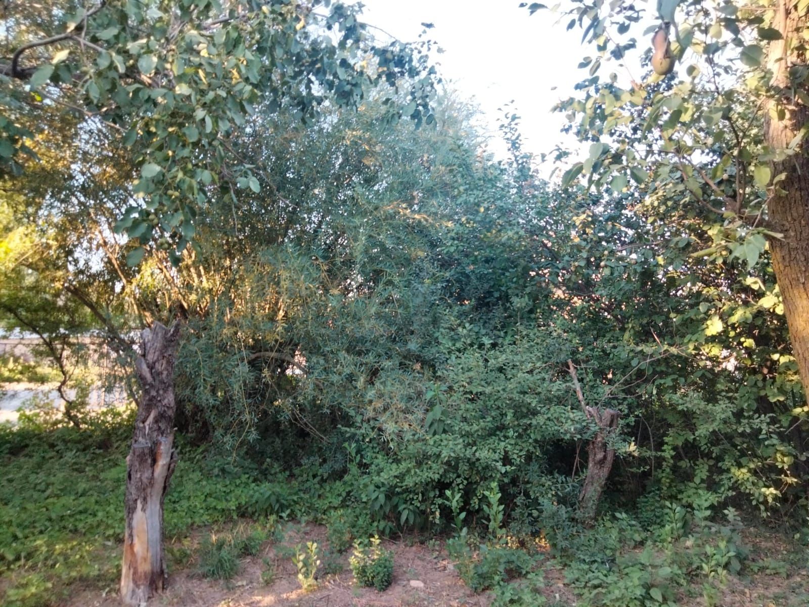 Продам дачу Карамурт