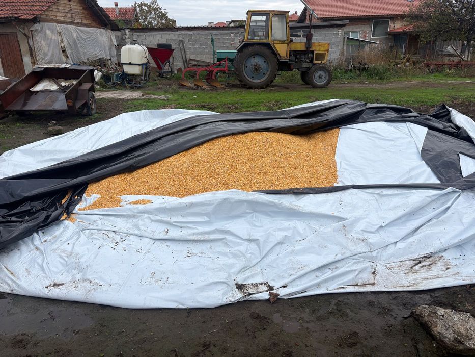 Продавам Фуражна Царевица