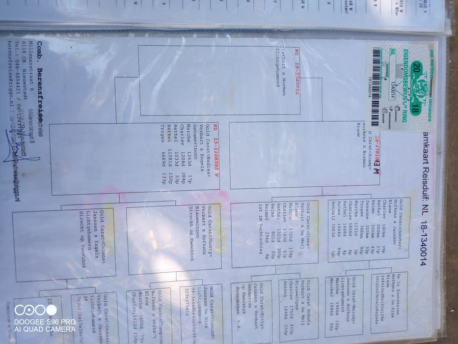 Voiajori cu pedigreu