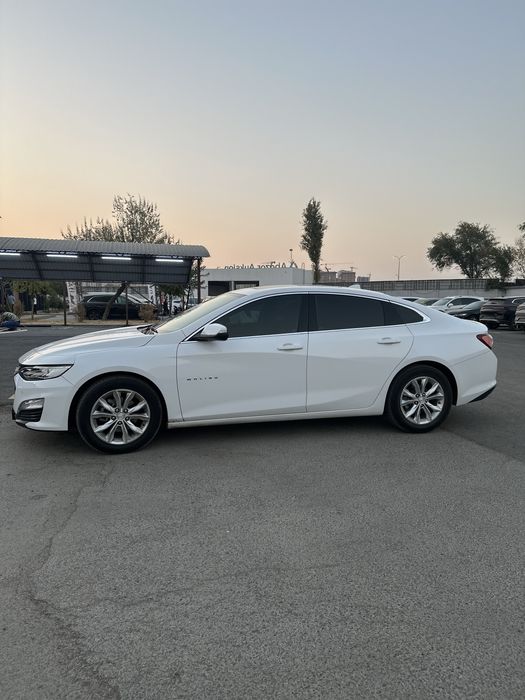 Malibu 2 premier