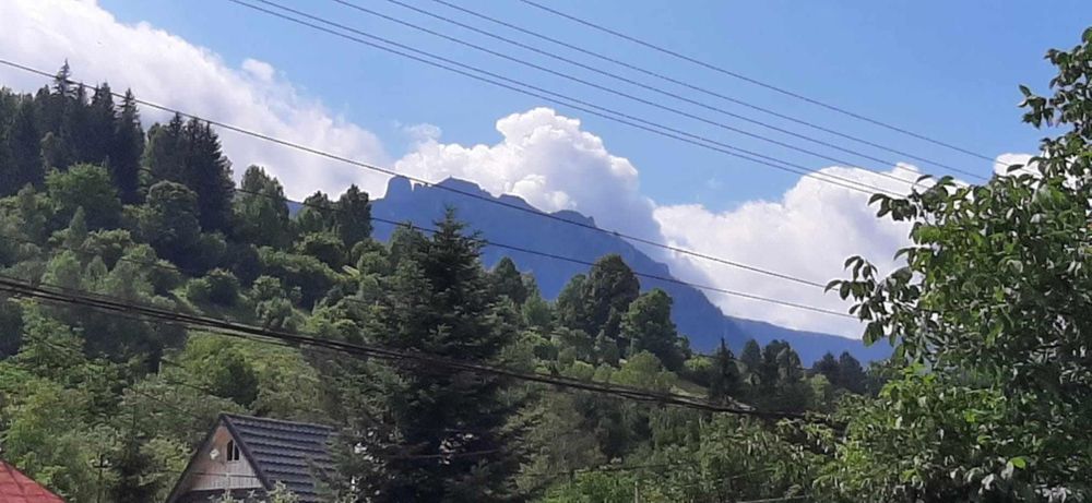Teren și casă de vânzare în Ceahlău