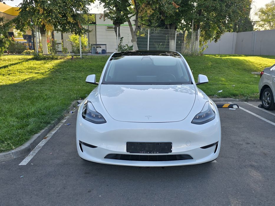 Tesla Y performers