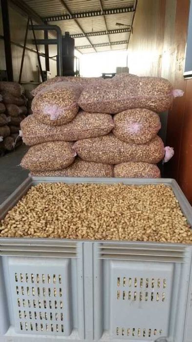 Semințe de alune de pământ - Arahide