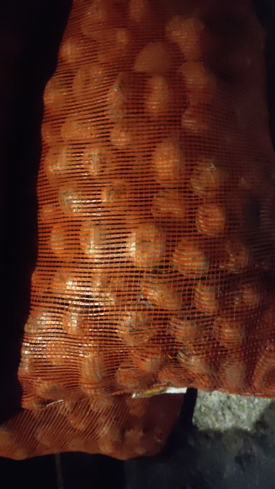 Продам картофель .