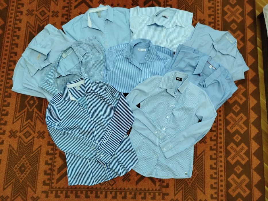 Лот офис ризки синя гама