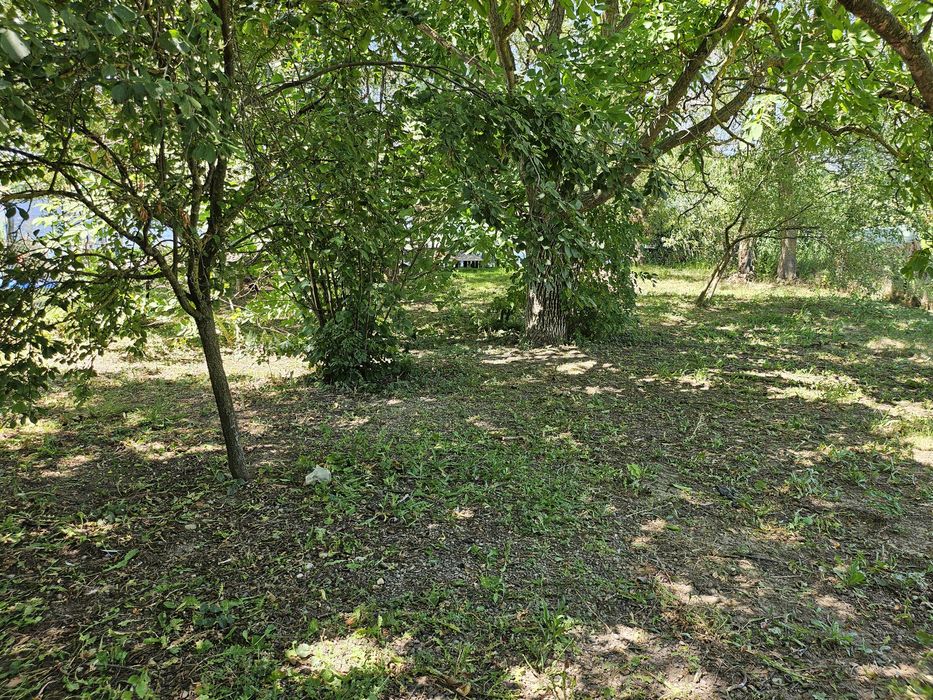 Casa cu teren - deschidere directa la lacul Corbeanca