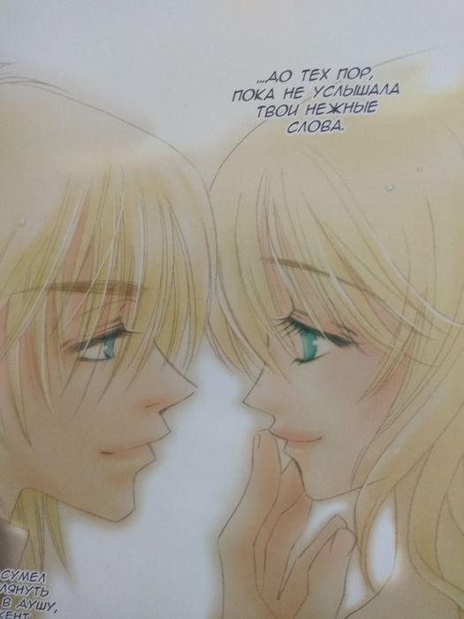 Аниме.Манга.Принцесса АИ..Коллекционное издание.600стр,вес 1000гр.