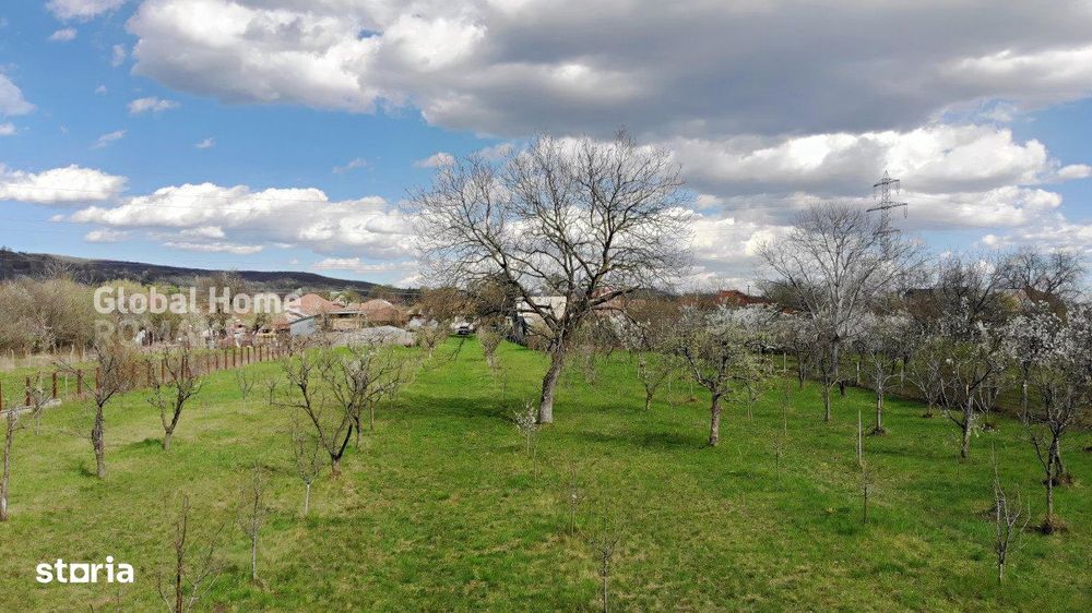 4898 MP Teren Intravilan | Prahova - Cornu De Jos | Toate Utilitatile