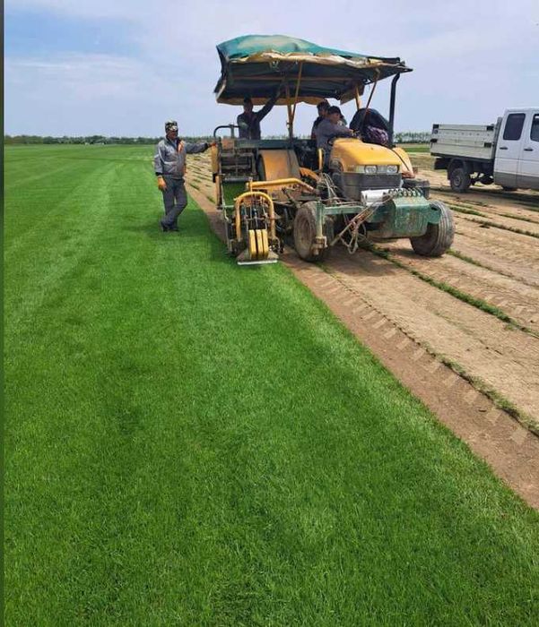 Gazon Rulou Sisteme de Irigare Si Insamantare