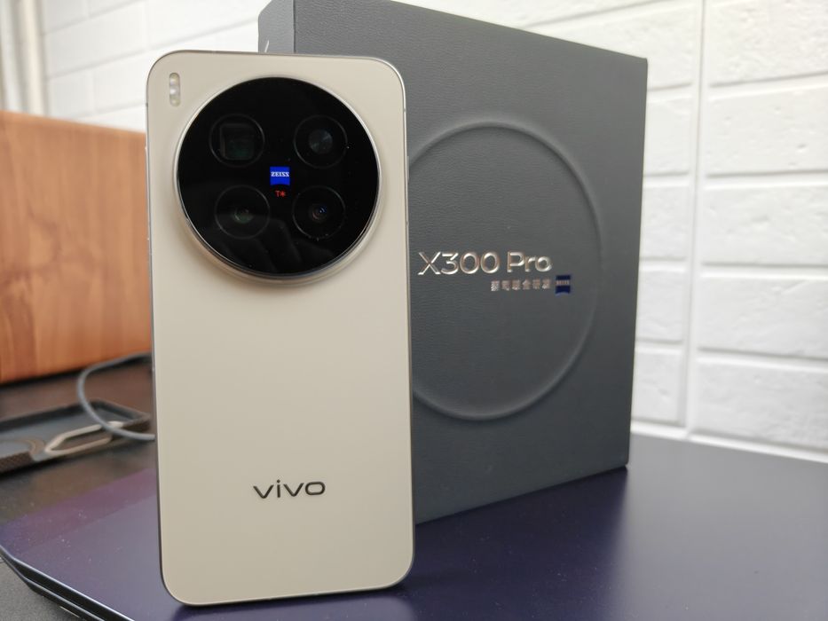 VIVO X300 Pro 12/256