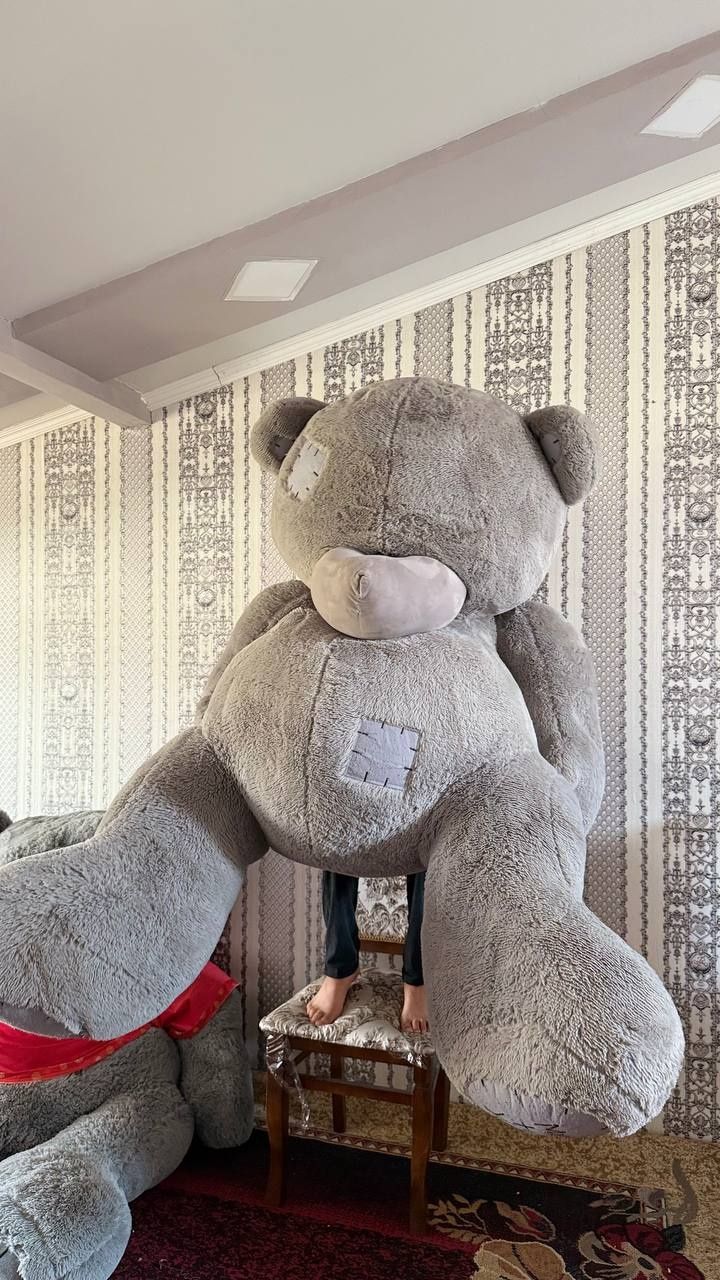 Eng kotta Arginal teddylar ayiqlar