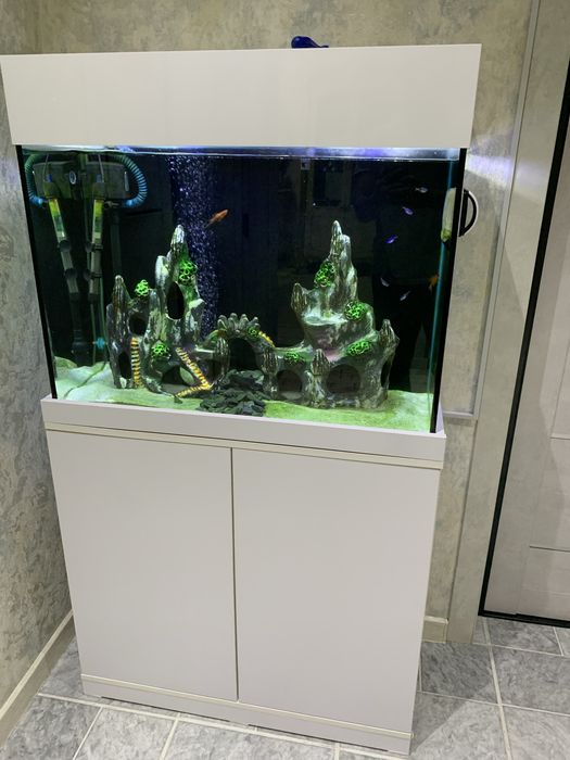 Авариум с тумбой