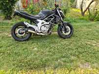 Suzuki sfv650gladius