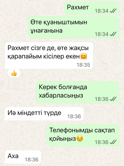 Парогенератормен үй тазалаймыз. Химчистка
