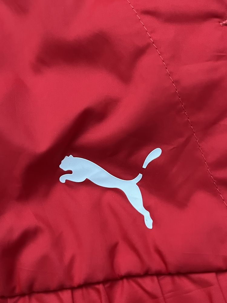 Горница Puma x Ferrari