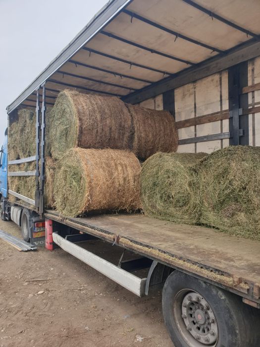 Baloți lucernă și fân