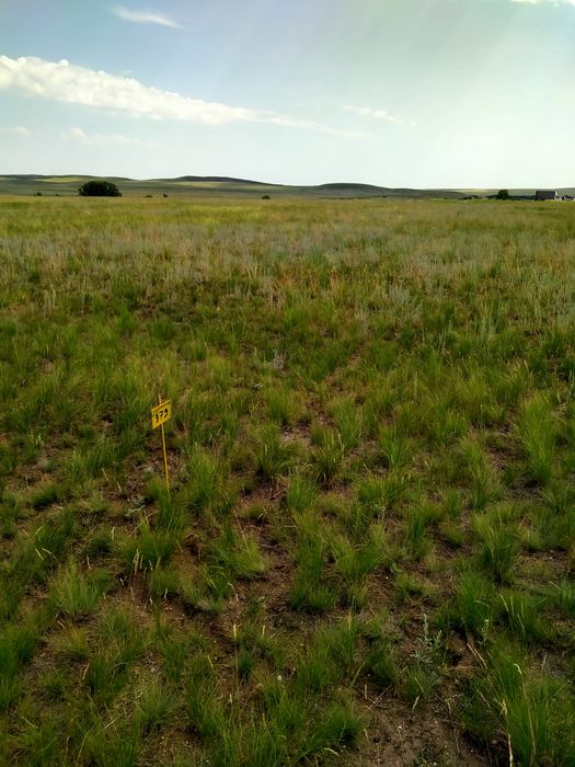 Продам земельный участок.