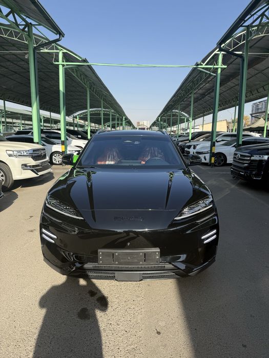 BYD Champion EV 506 km