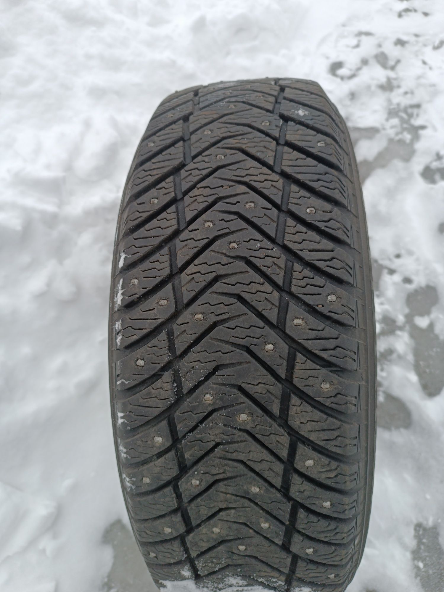 Продам автошину зимнюю шипованную 215/60 R 16