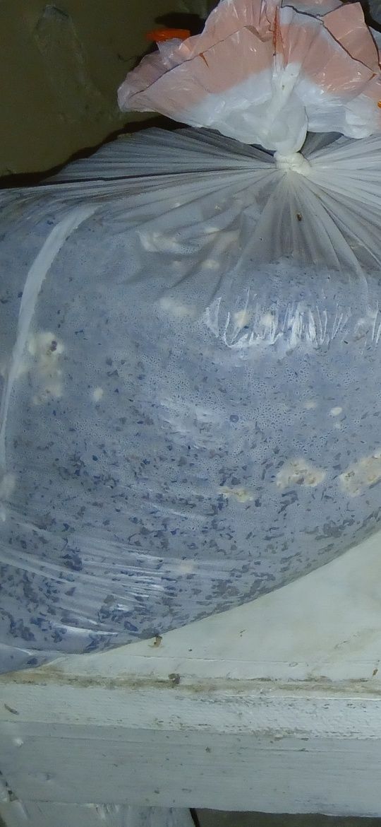 Готовые блоки вешенки обучение отдельно платный