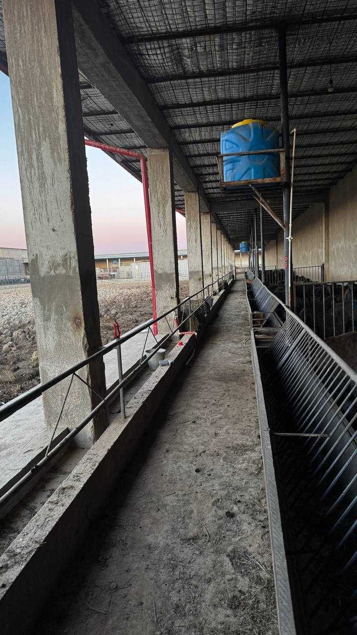 Брезент водостойкий