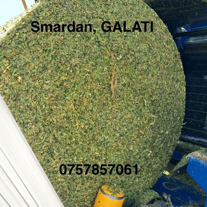 Baloti siloz porumb 2025