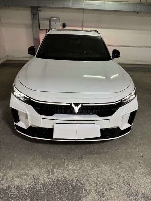 Продаю VOYAH Free 318