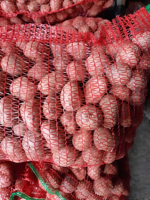 Vând cartofi de consum albi şi roşii