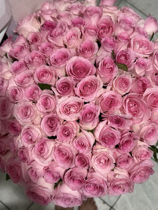 101 Роза ,шикарный букет,цветы свежие , розы большие как на фото