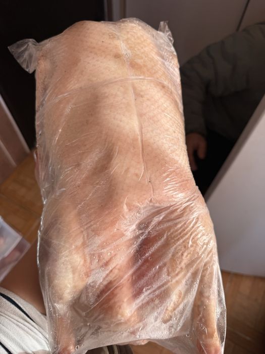 Продам тушки гусей
