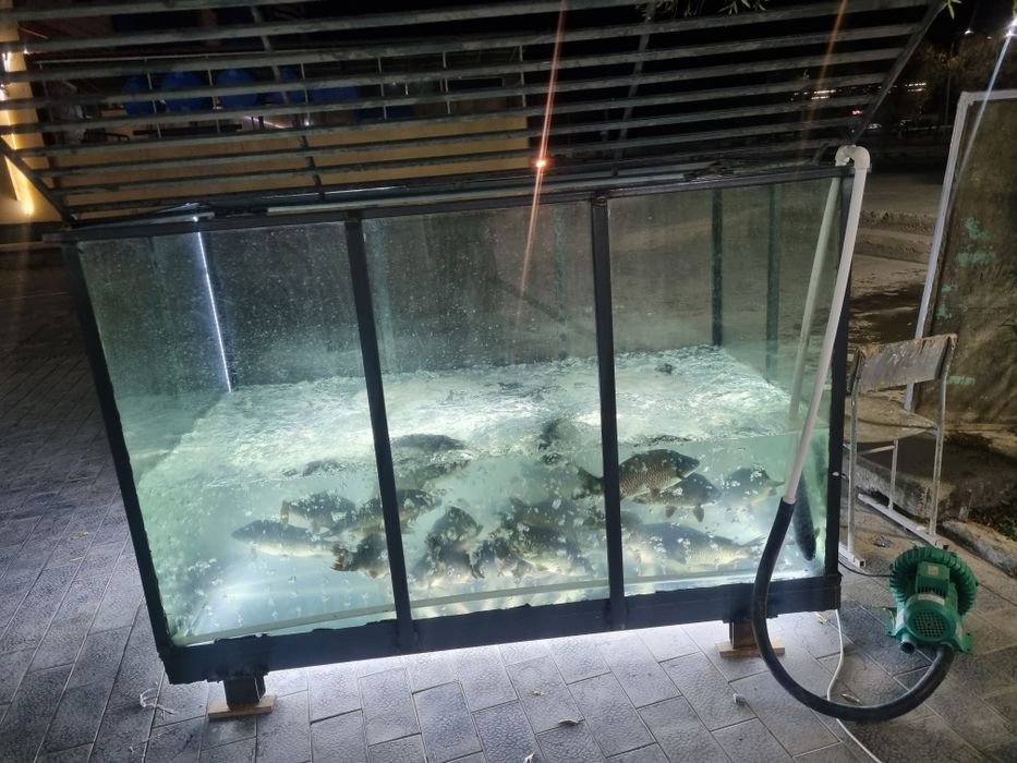Akvarium baliq sotish uchun