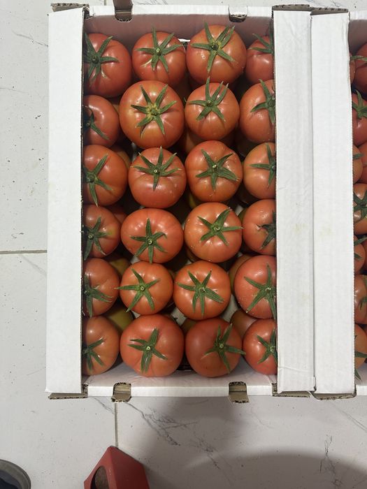 Помидоры местные