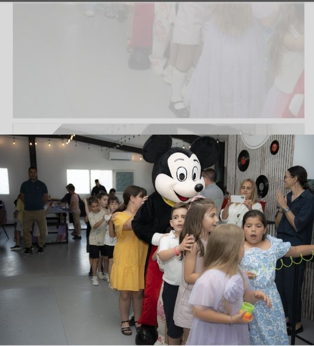 Animatori petreceri copii