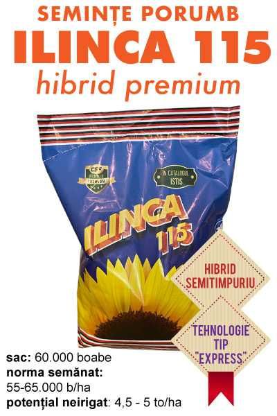 Samanta floarea-soarelui ILINCA 115, Compania Seminte Fundulea