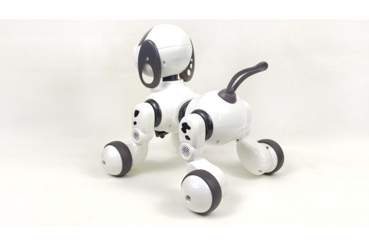 Радиоуправляемая собака