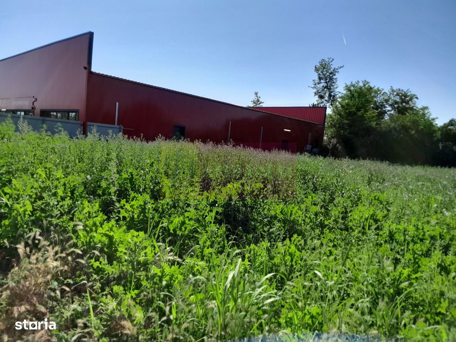 Movilita (IL)-teren de inch. 1800 mp stradal, 30 ml desch, langa Profi