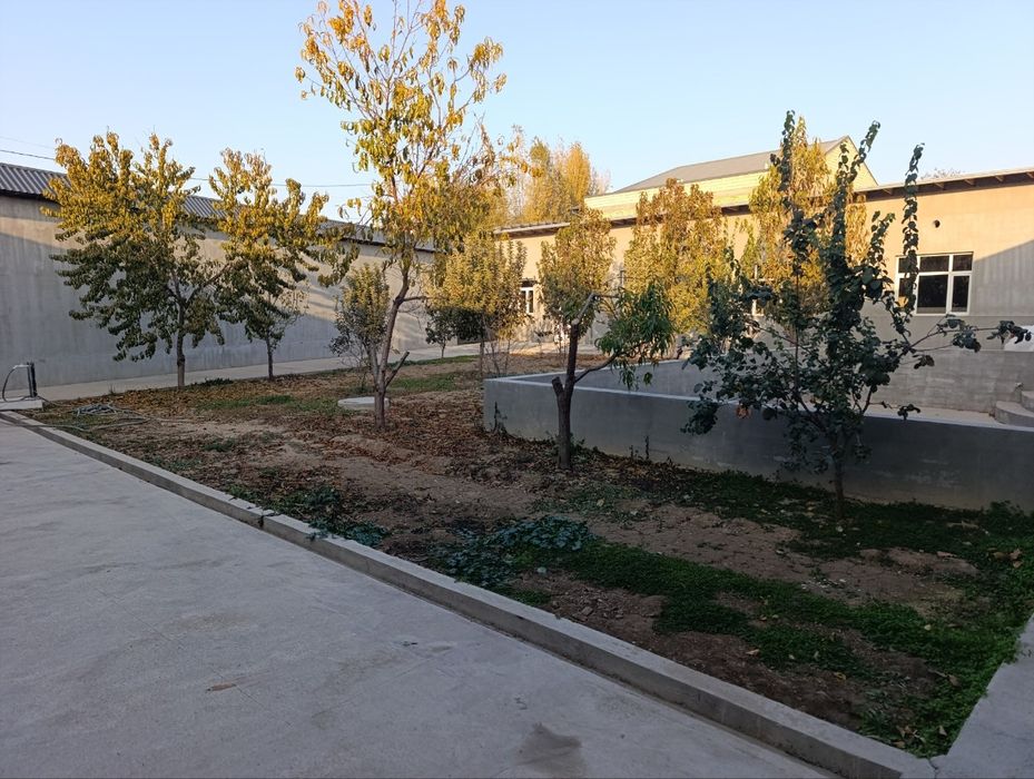 Toshkent tumani Ming terak mahalla