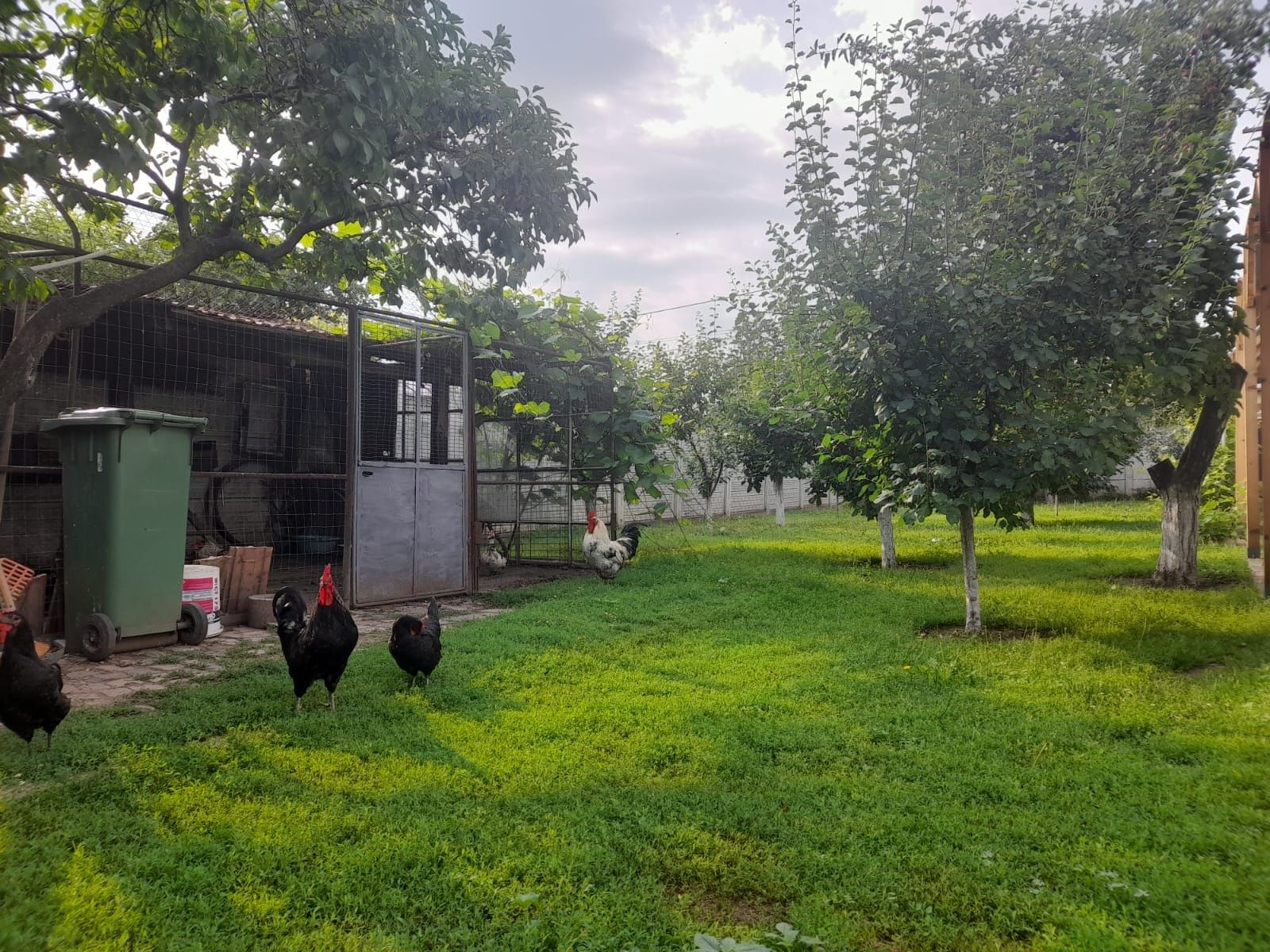Casa de vinzare P+E+teren ieșire în 2 strazi