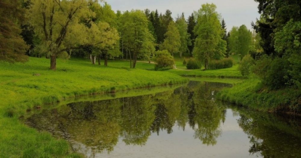 Продам крестьянское хозяйство