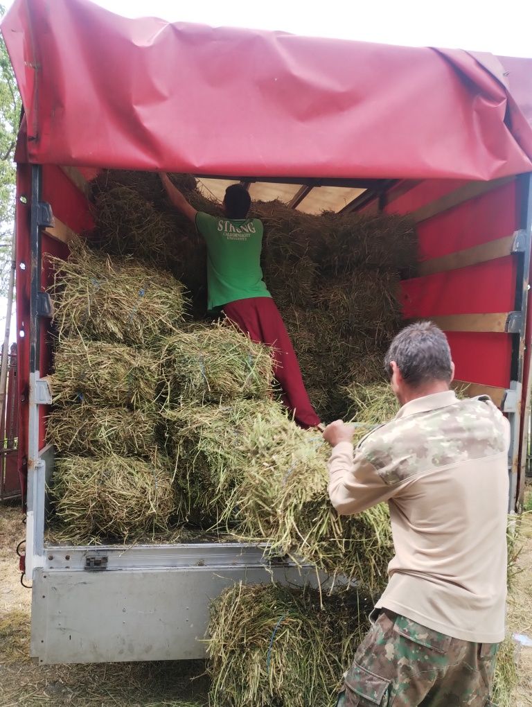 Dubă liberă transport