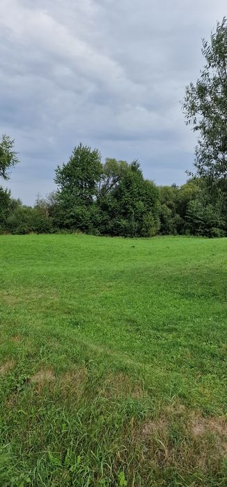 Terenuri intravilane alăturate 30 ari si 26 ari ideal casă sau arabil