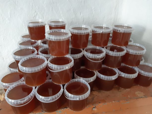 Продается свежий лесной мед