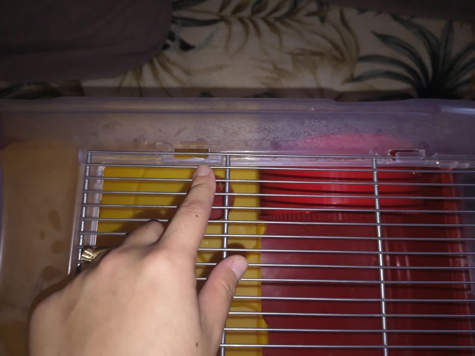 Cusca pentru rozatoare