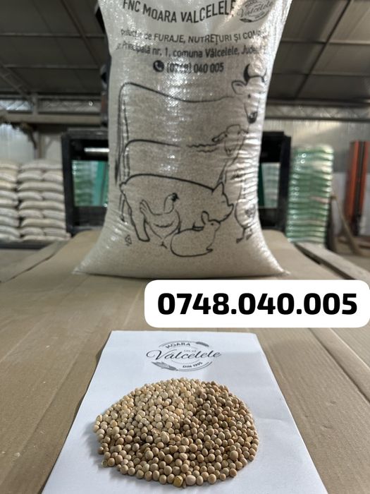 Porumb, Urluiala, Amestec boabe, Mazare, Spartura, Cereale ambalate