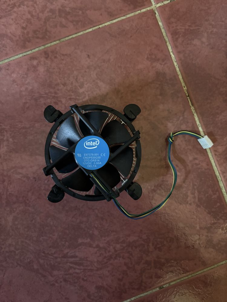 Coole Intel stock
